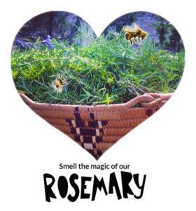 Smell the Magic