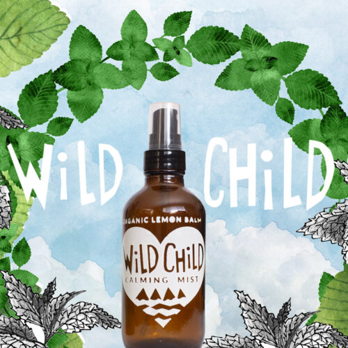 Our Wild Child Lemonbalm Hydrosol Mist